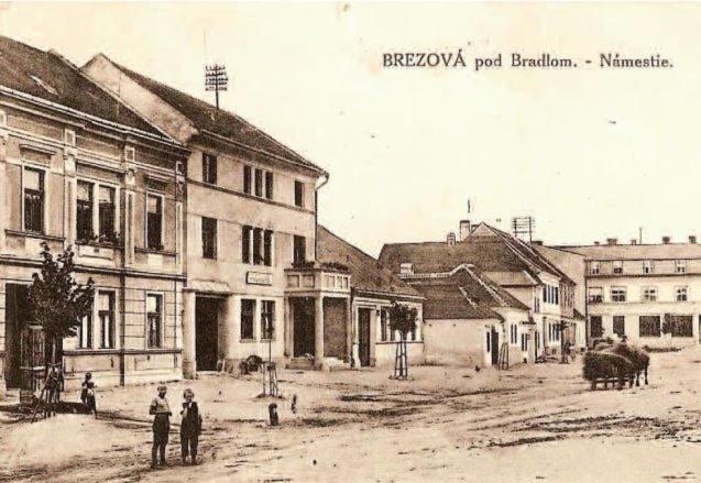 Penzión Tvarožek *** Brezová pod Bradlom Exterior foto